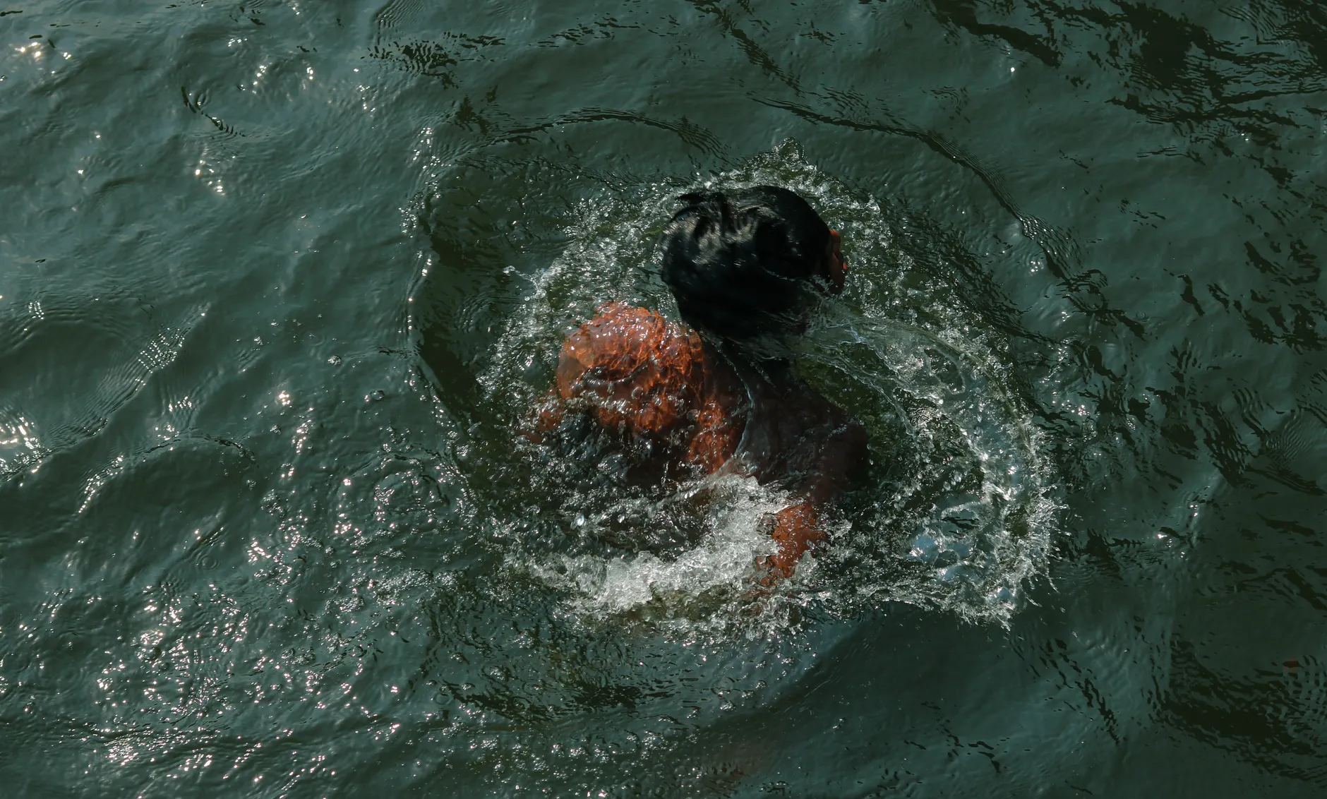 River Swimming Near You: Check Access, Quality and Flow